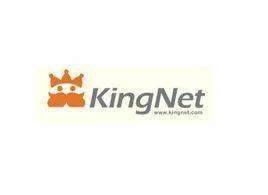 Shanghai Kingnet Technology Co. Ltd logo