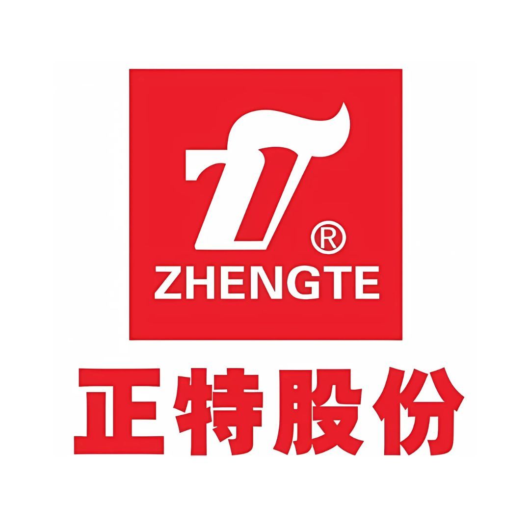 Zhejiang Zhengte Co., Ltd.,(Z) logo