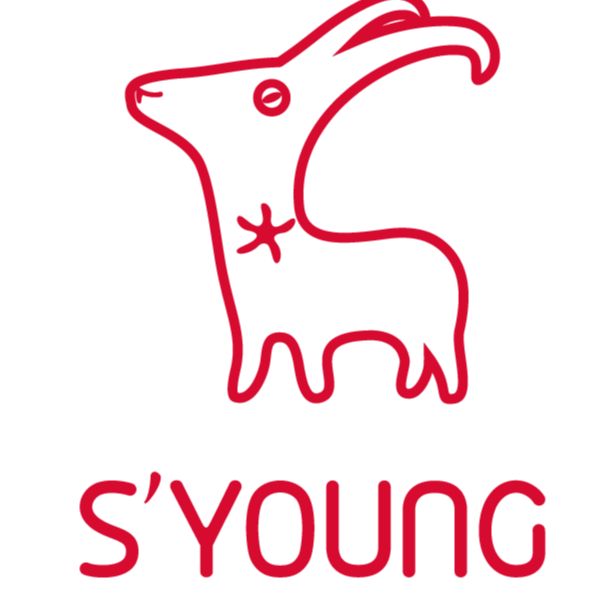 Syoung Group Co.,Ltd. Logo
