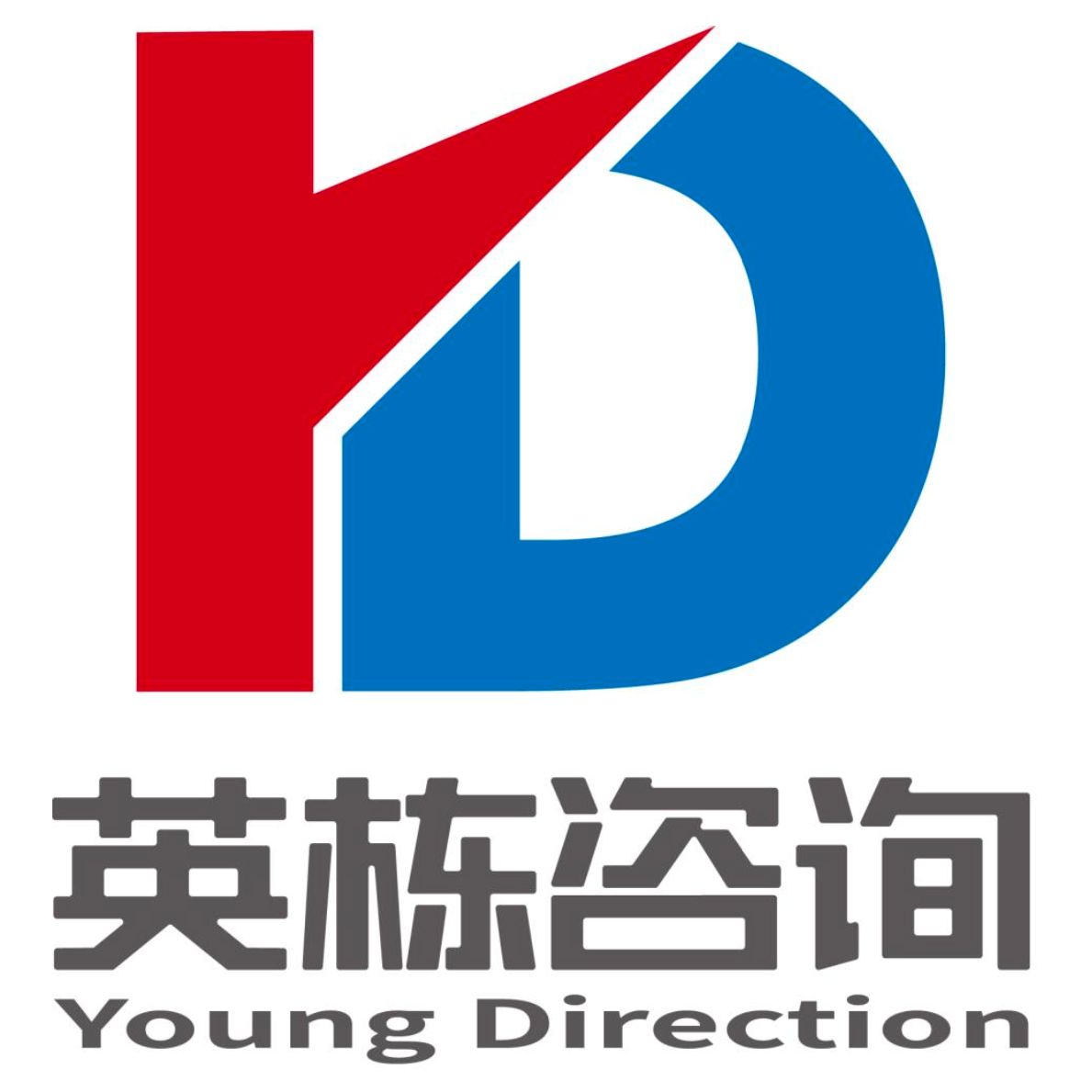 Young Direction logo