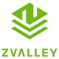 Zvalley(Z) logo