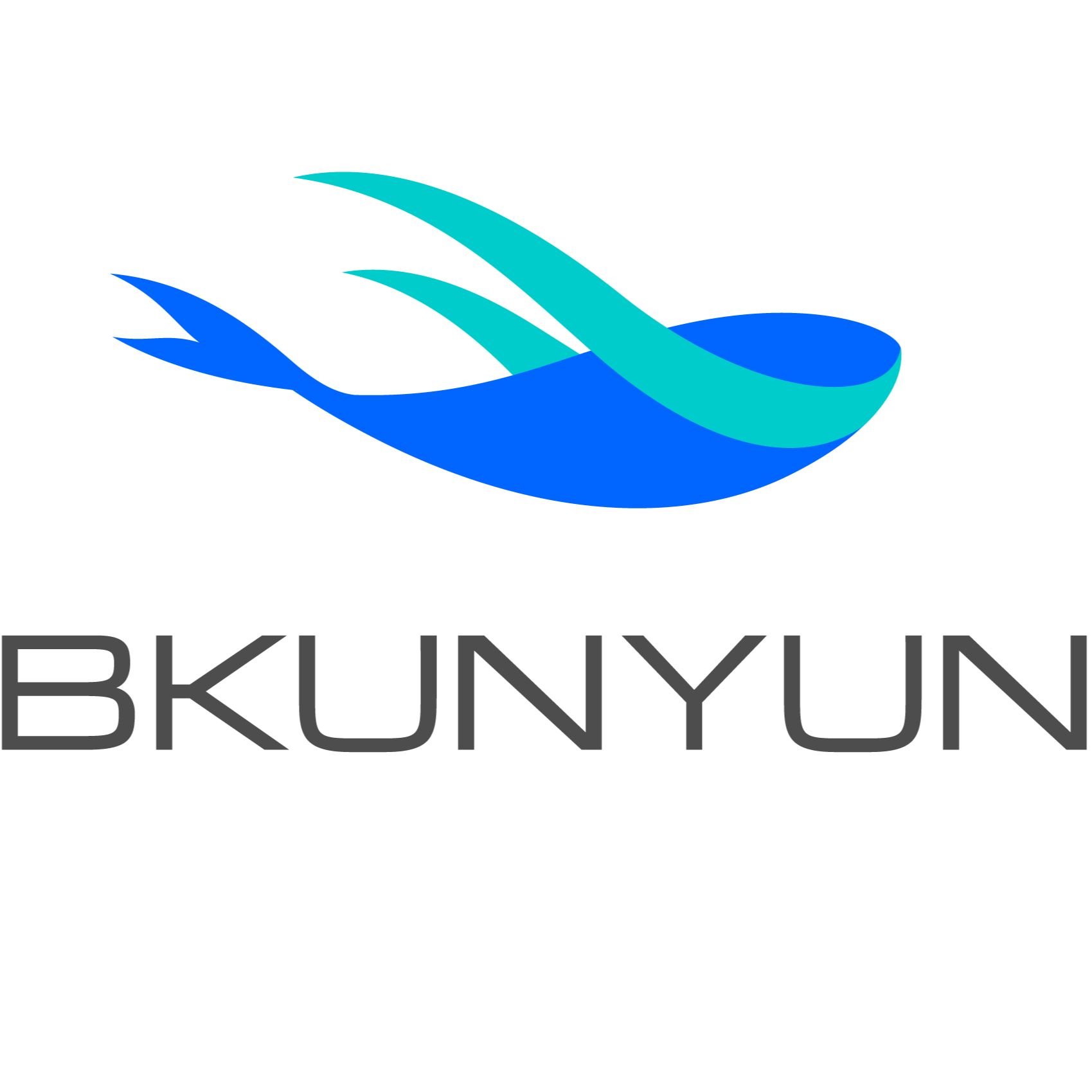 Shenzhen bkunyun cloud computing co.,ltd Logo