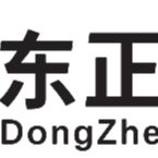 Shenzhen Dongzheng Optical Technology Co., Ltd logo