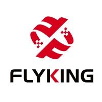 Flyking Technology Co.,Ltd logo