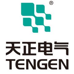 Zhejiang Tengen Electric Co., Ltd.  Logo