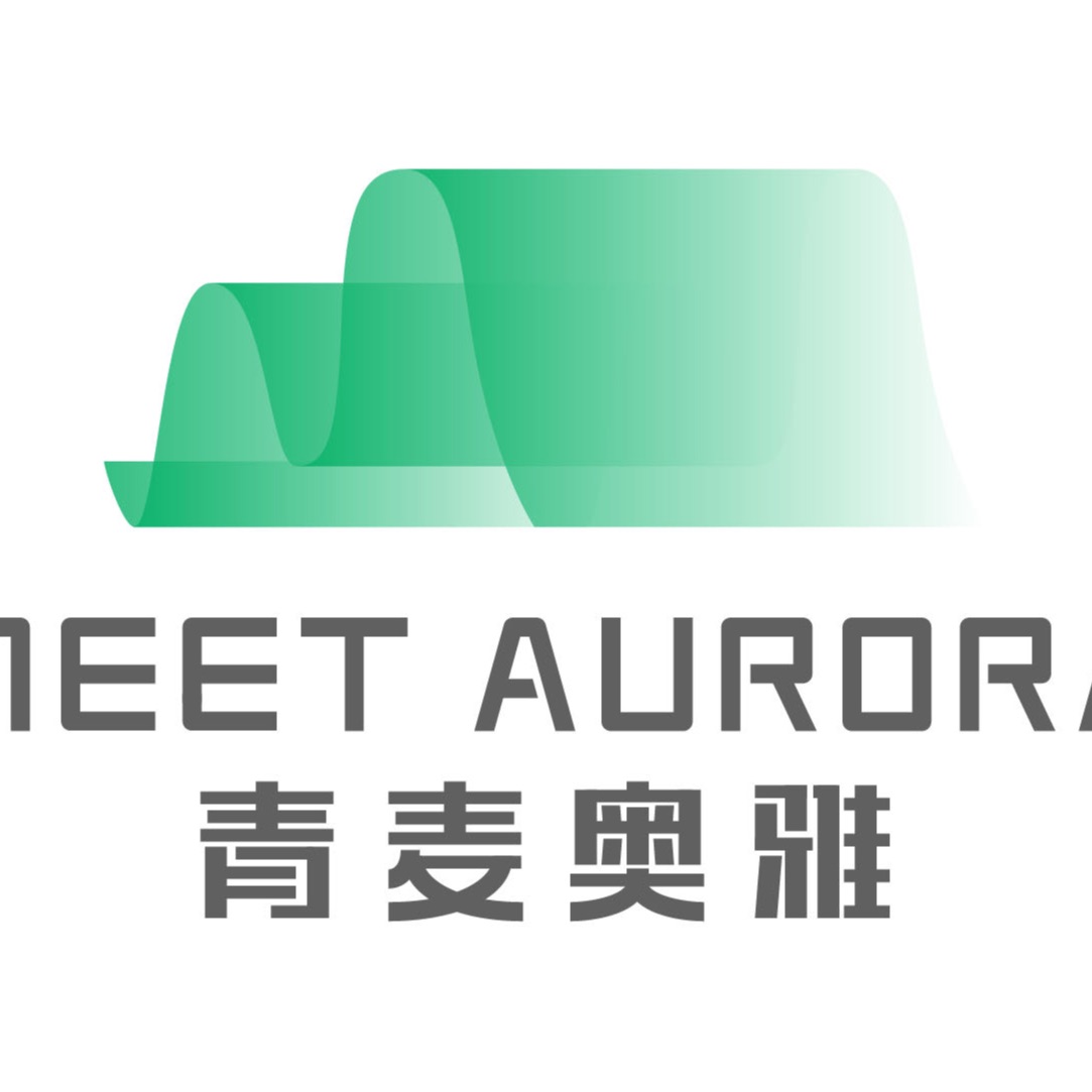 Shenyang Qingmai Aoya Overseas Consulting Co Ltd Logo