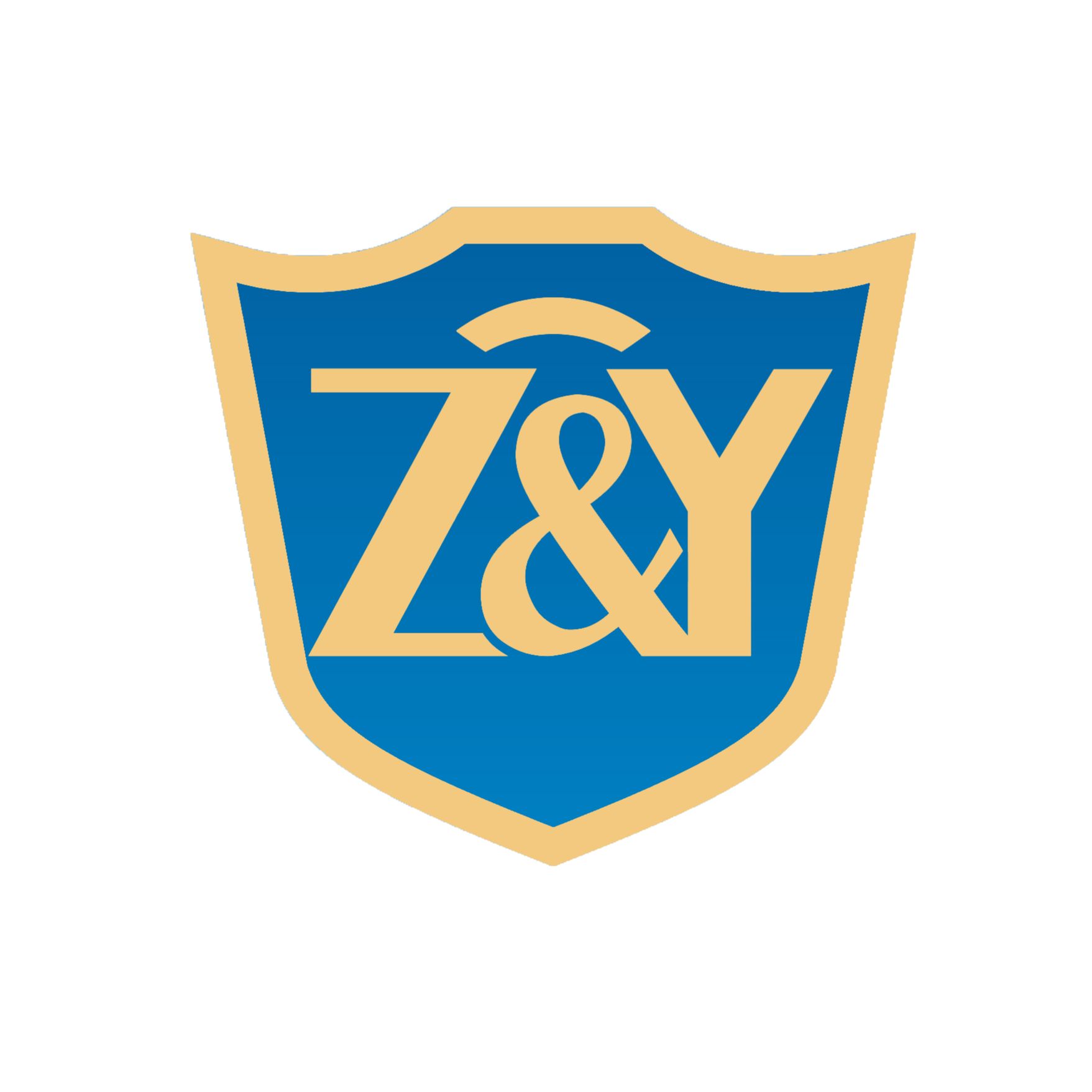 Hebei Zhanyu Electromechanical Technology Co., Ltd. Logo