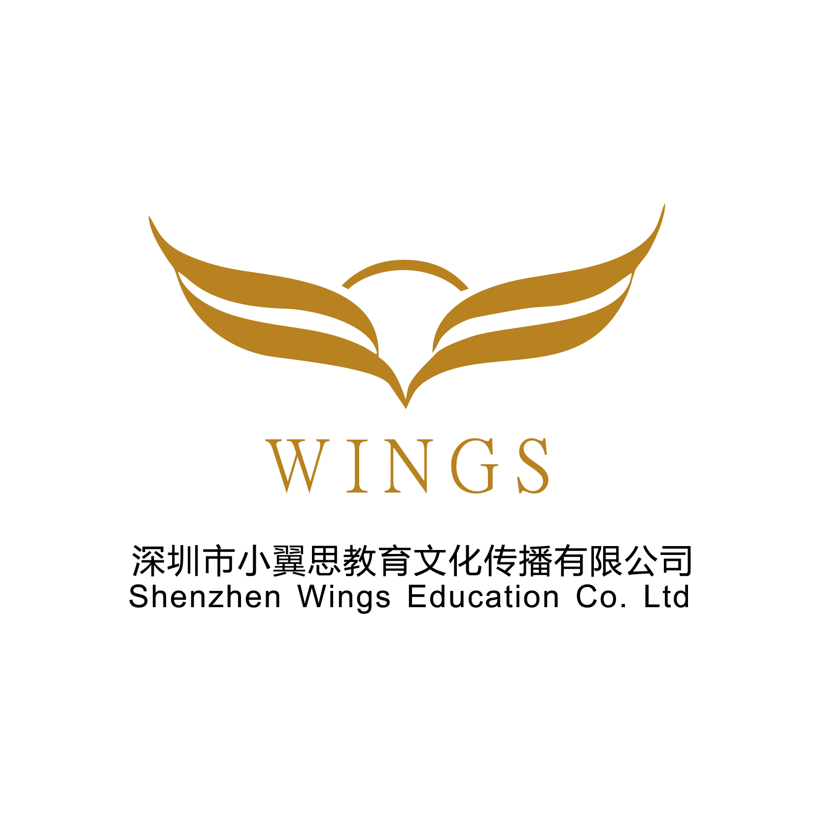 Shenzhen Wings Education Co.,Ltd Logo
