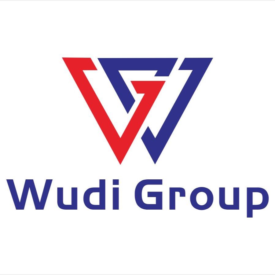 WUDI Group logo