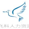 飞科人力资源（上海）有限公司 Logo