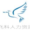 飞科人力资源（上海）有限公司 logo