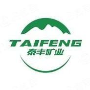 TaiFung(T) Logo