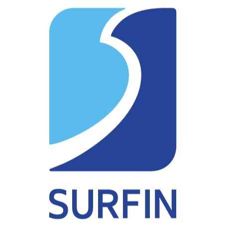 SURFIN META DIGITAL TECHNOLOGY PTE. LTD.  Logo