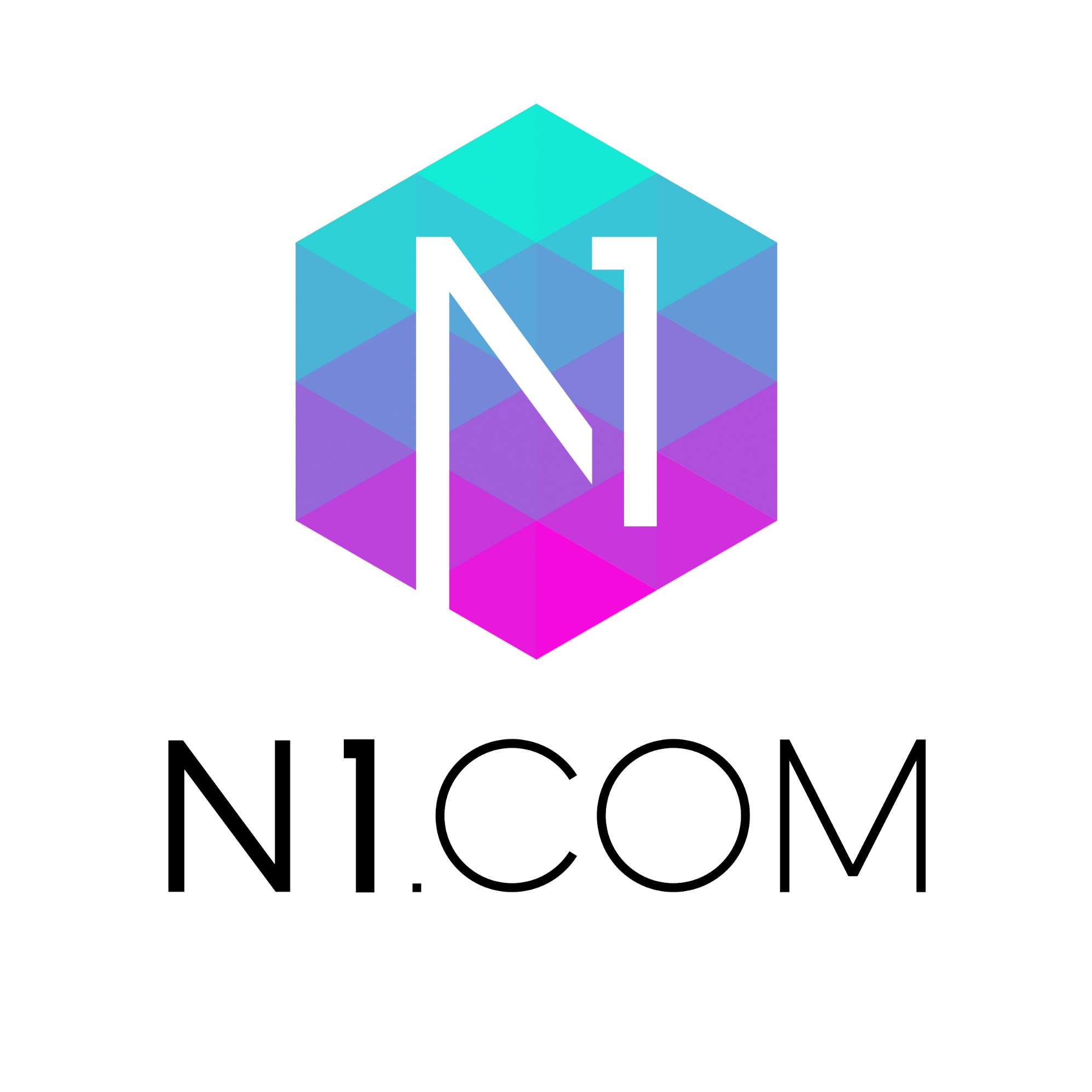 N1 Culture Logo