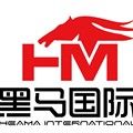 HeiMa(H) logo