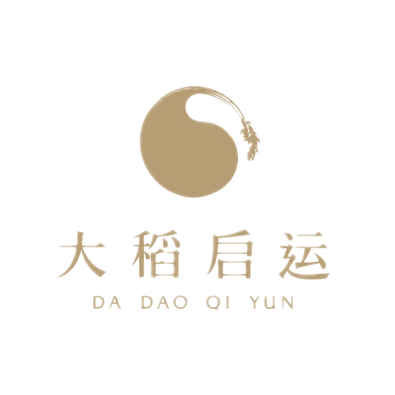 Da Dao Qi Yun Group Co., Ltd logo
