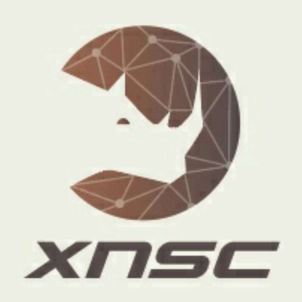 Shanghai Xiniu Information Technology Co.,Ltd logo