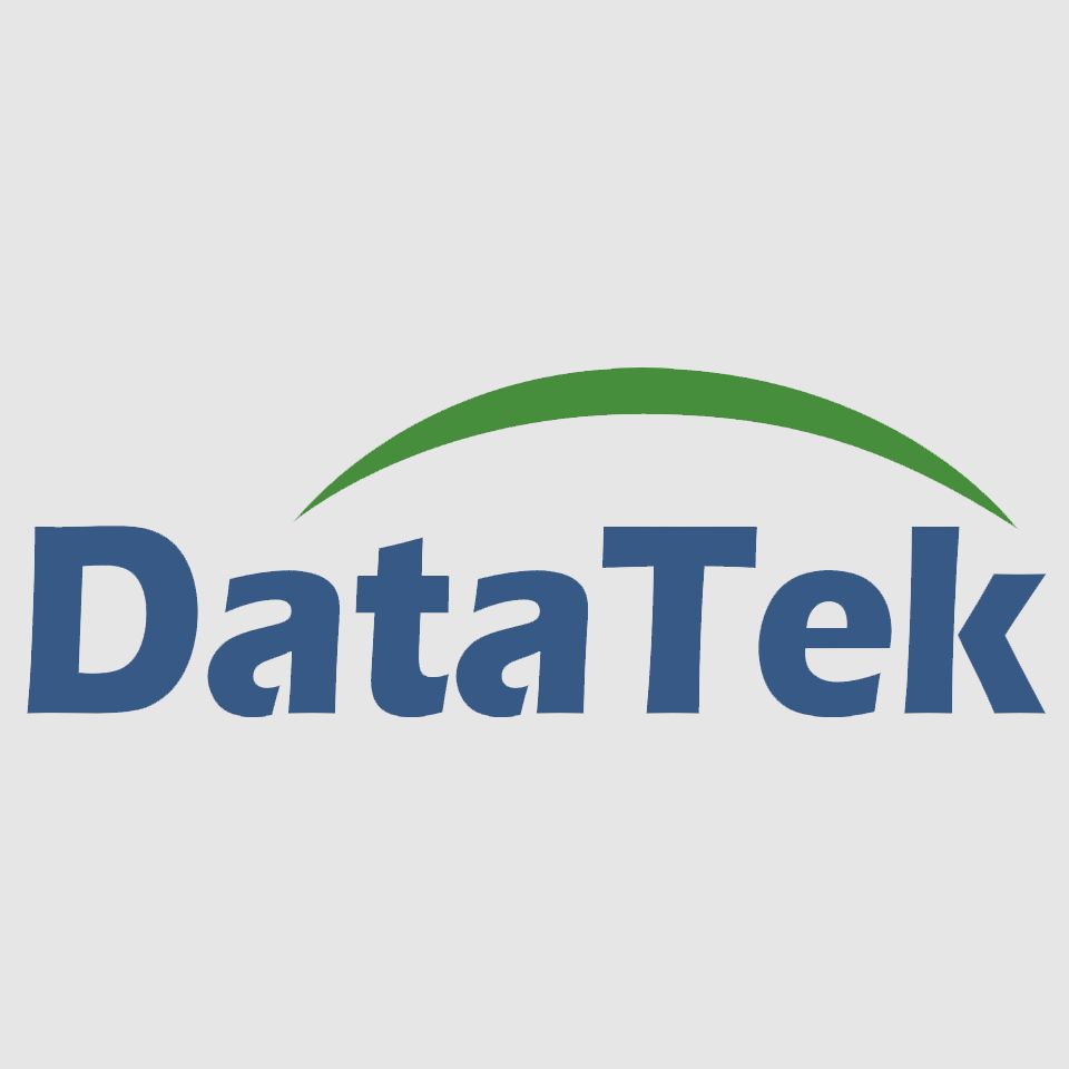 DataTek Engineering Services Ltd. Logo