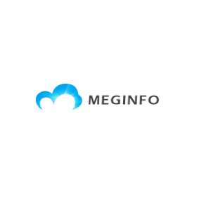 Meginfo logo