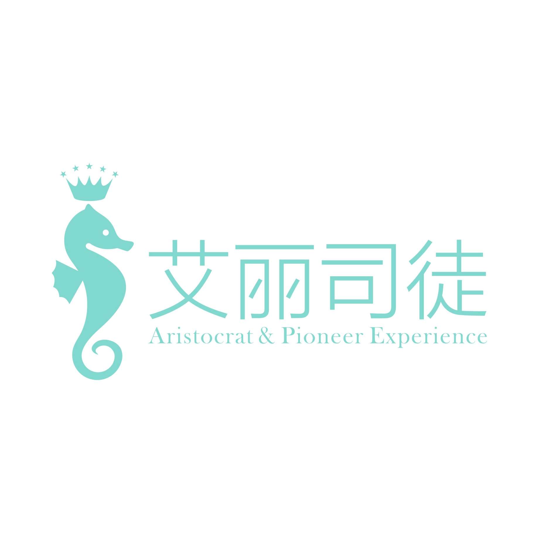 Shenzhen Weiai Travel Service Co., Ltd Logo