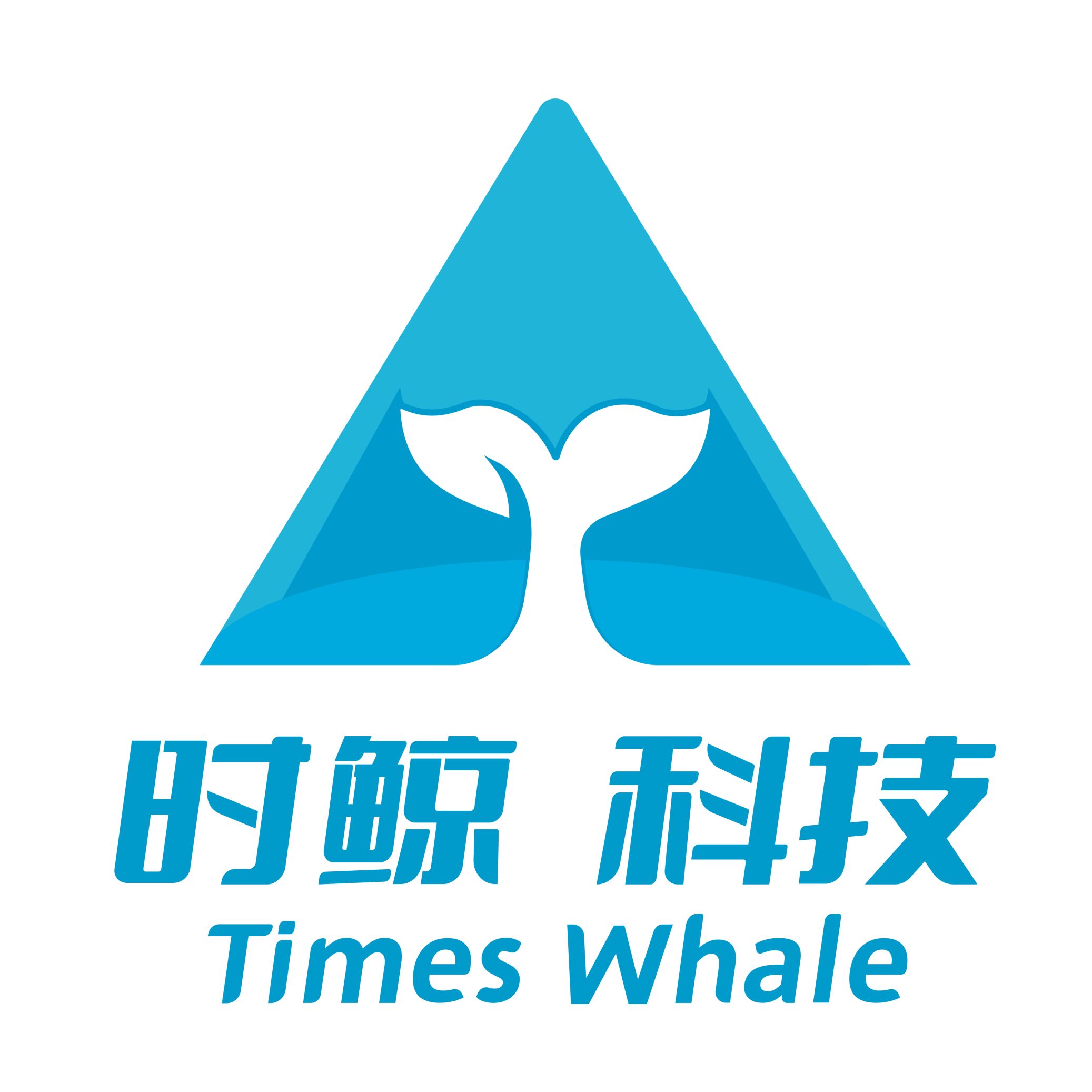  Shenzhen TimesWhale Co., Ltd. logo