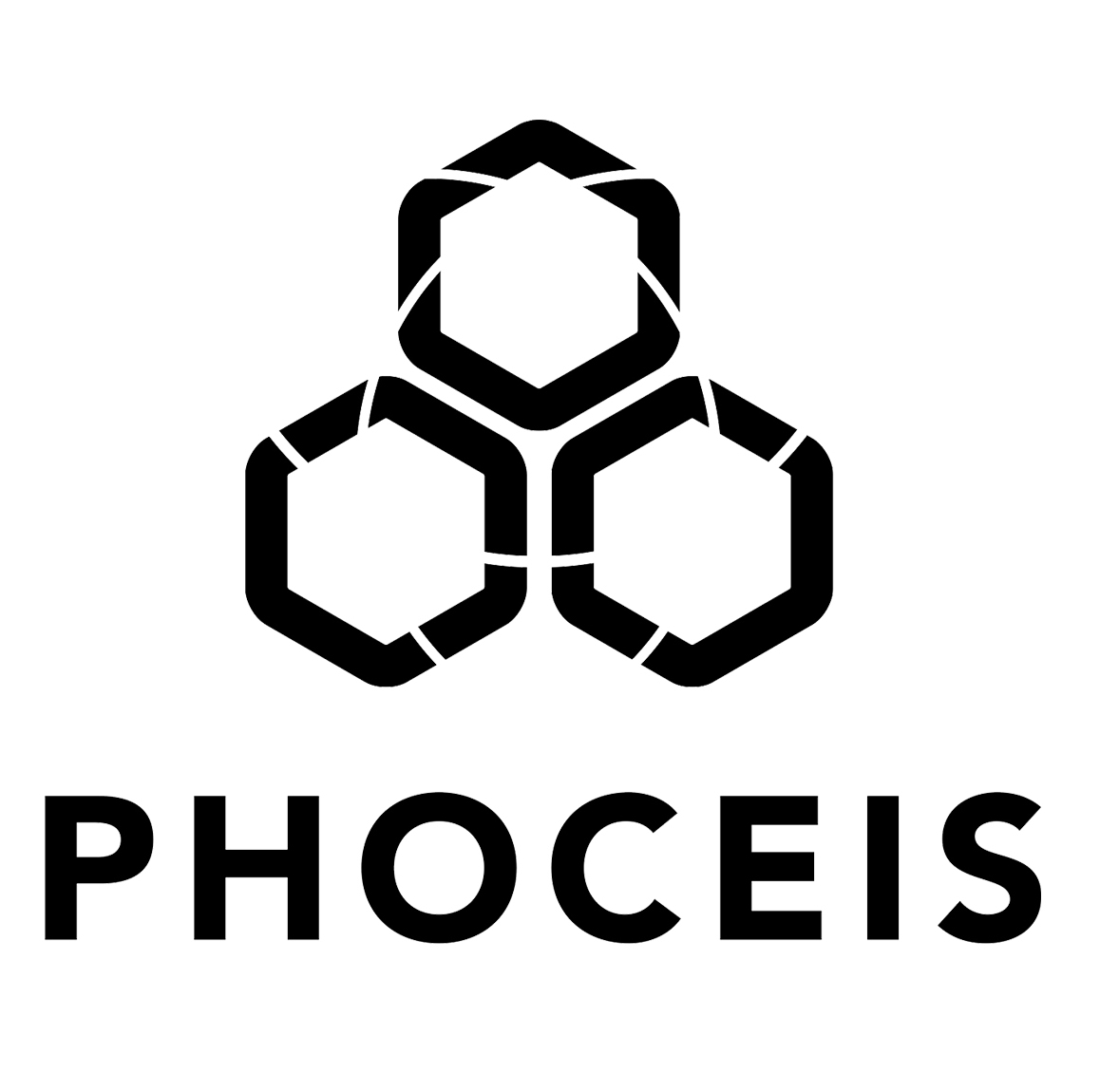 Phoceis Technology Consulting (Shanghai)Co.,Ltd logo