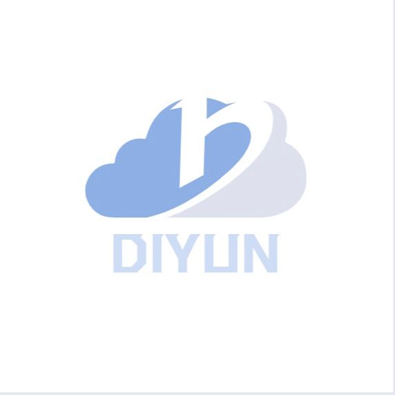 Guangzhou Diyun Network Technology Co., Ltd. logo