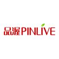 PINLIVE(P) Logo