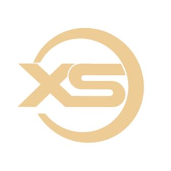 Guangzhou Xuansi Network Technology Co., Ltd. logo