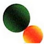   Dalian Ding Xin Sheng Trading Co., Ltd. Logo