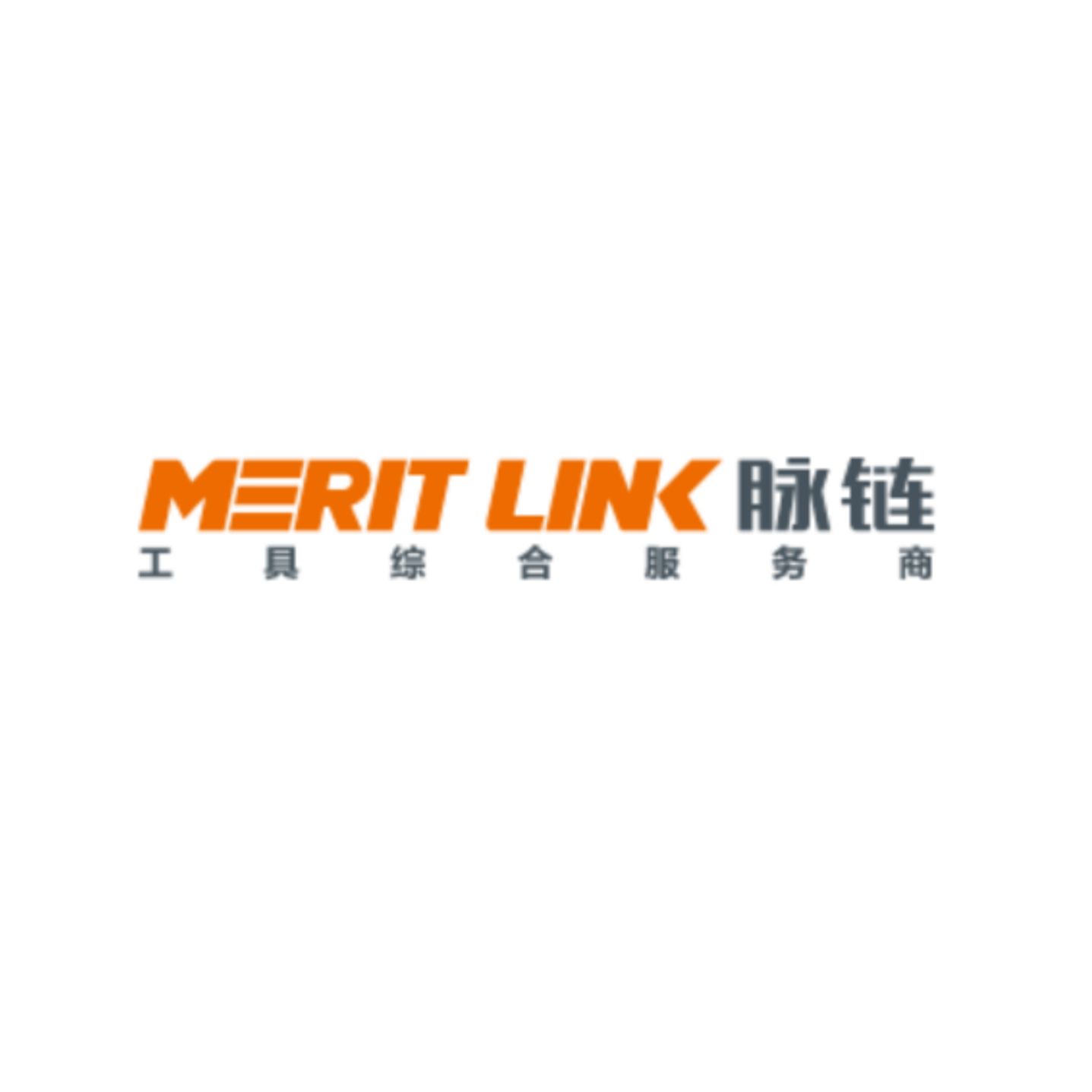 Merit-link logo
