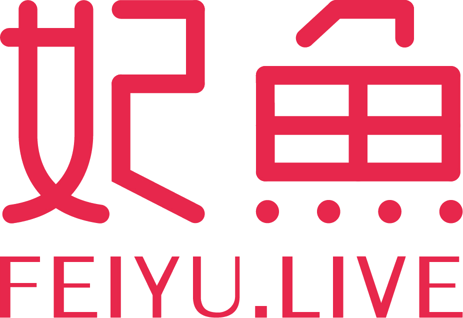 Shanghai FeiYu newwork technology ltd  logo
