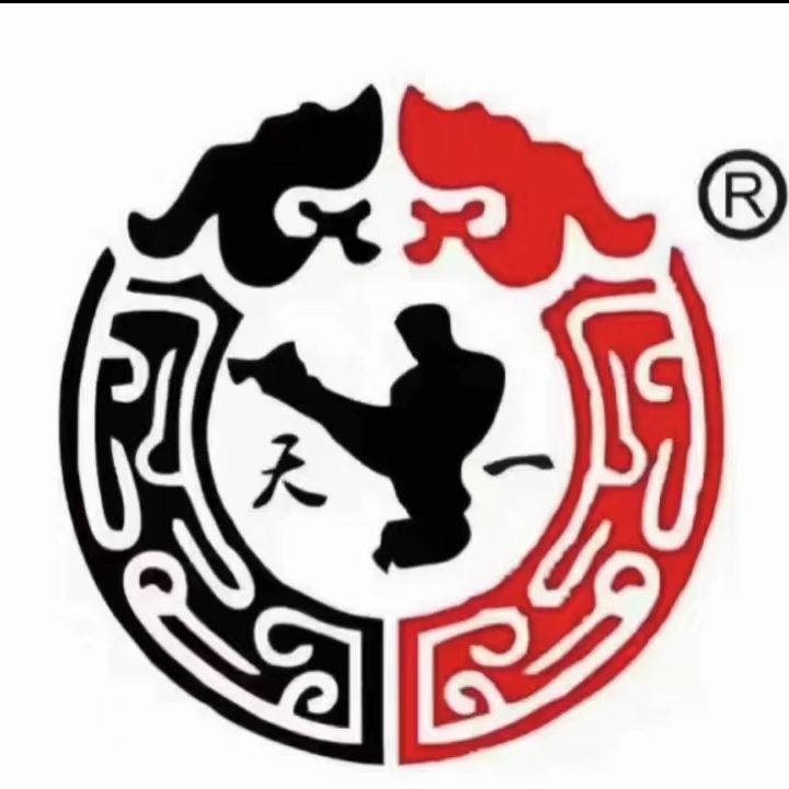 Ningbo Tianyi Taekwondo Gym Logo