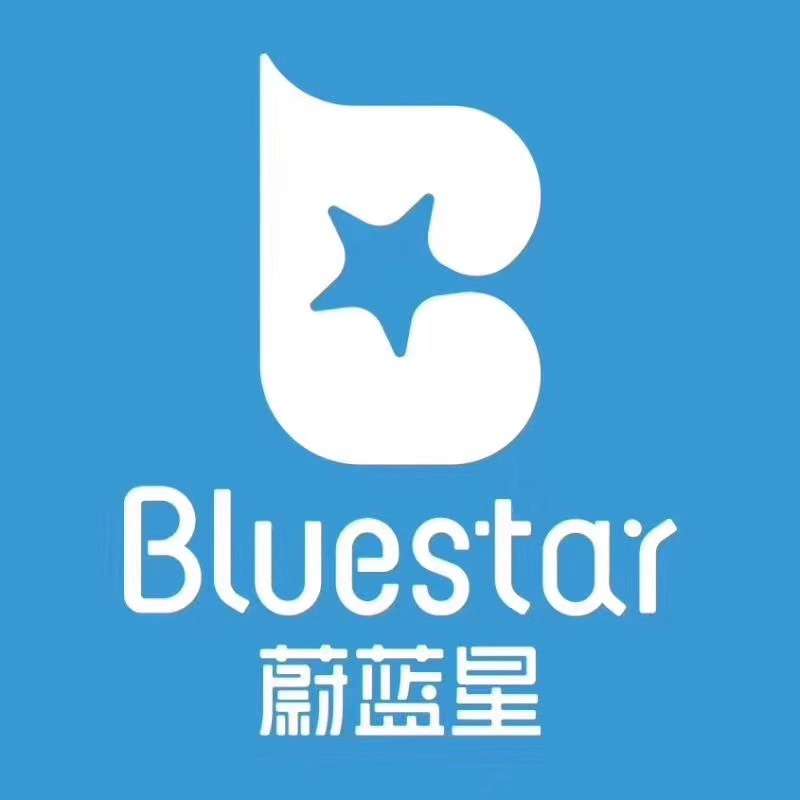 bluestarkids Logo