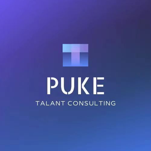 PUKE Talent Consulting logo