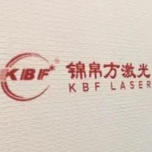 广东百思佳博人力资源有限公司 Logo