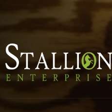 Stallion Enterprise Logo