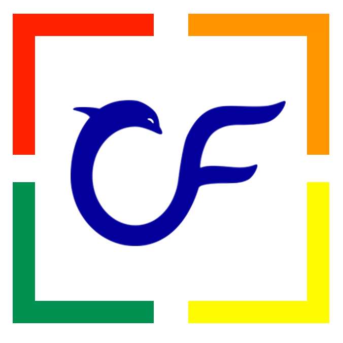Coding First Logo