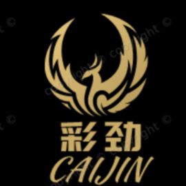 CAIJIN logo