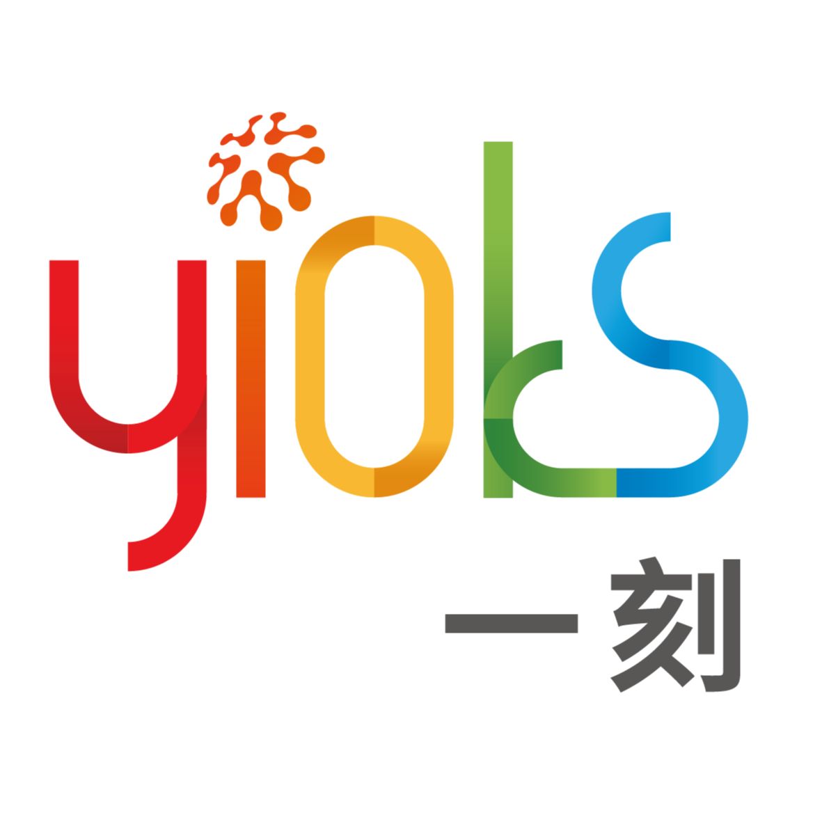 YIOKS Limited Logo