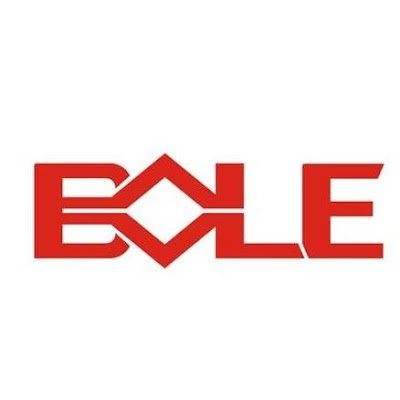 Bole Intelligence(B) Logo