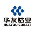 HUAYOU COBALT(H) Logo