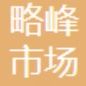 Summit (Shanghai) Marketing Research Co., LTD logo