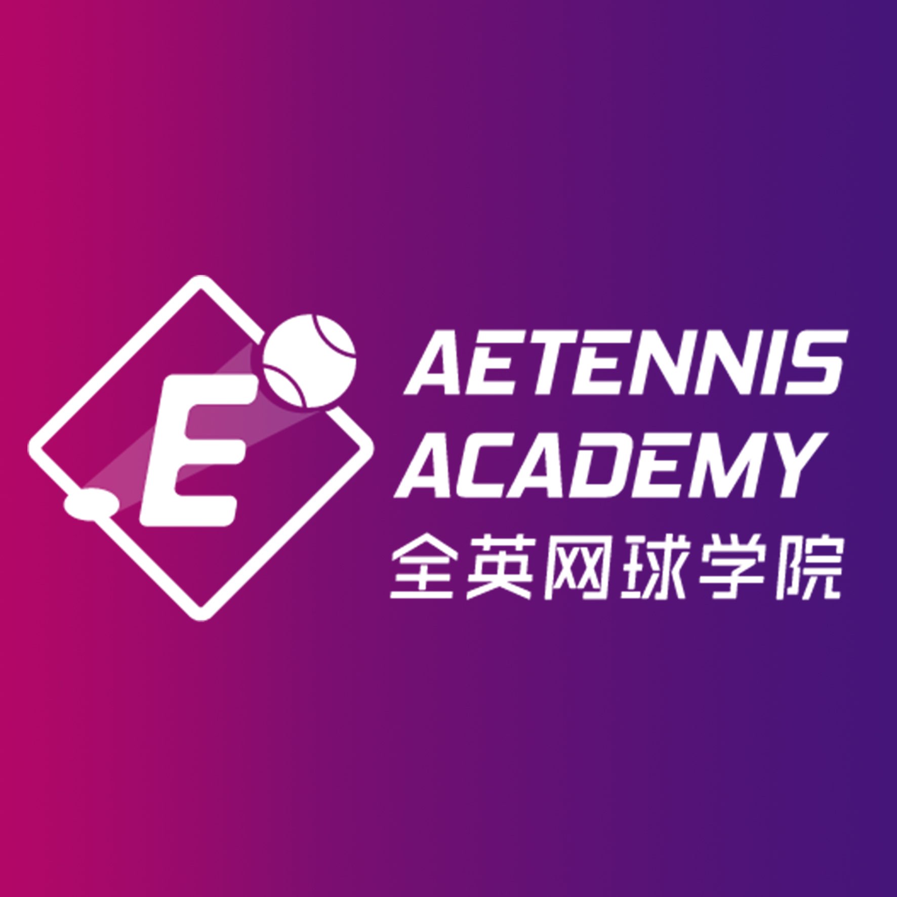 AESPORTS ACADEMY logo