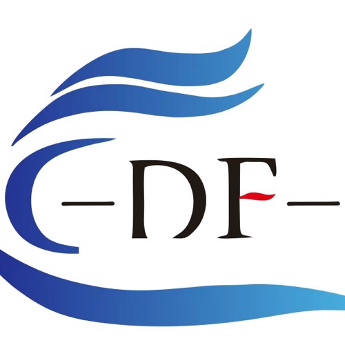 dianfeng  Logo