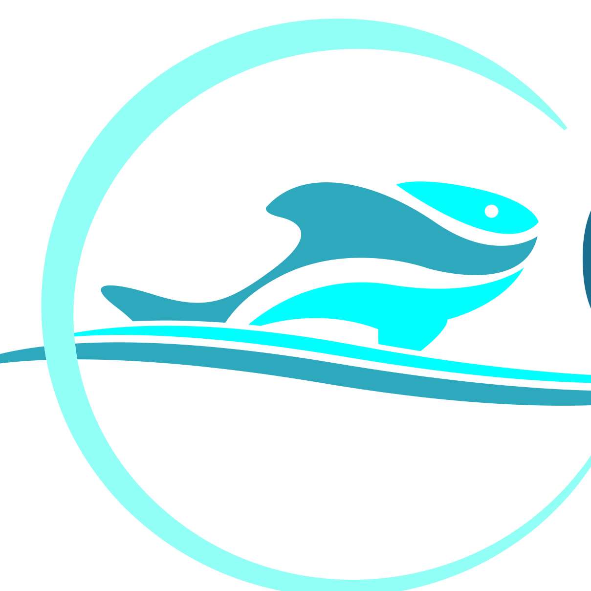 Nantong Ocean Treasure Incorporation logo