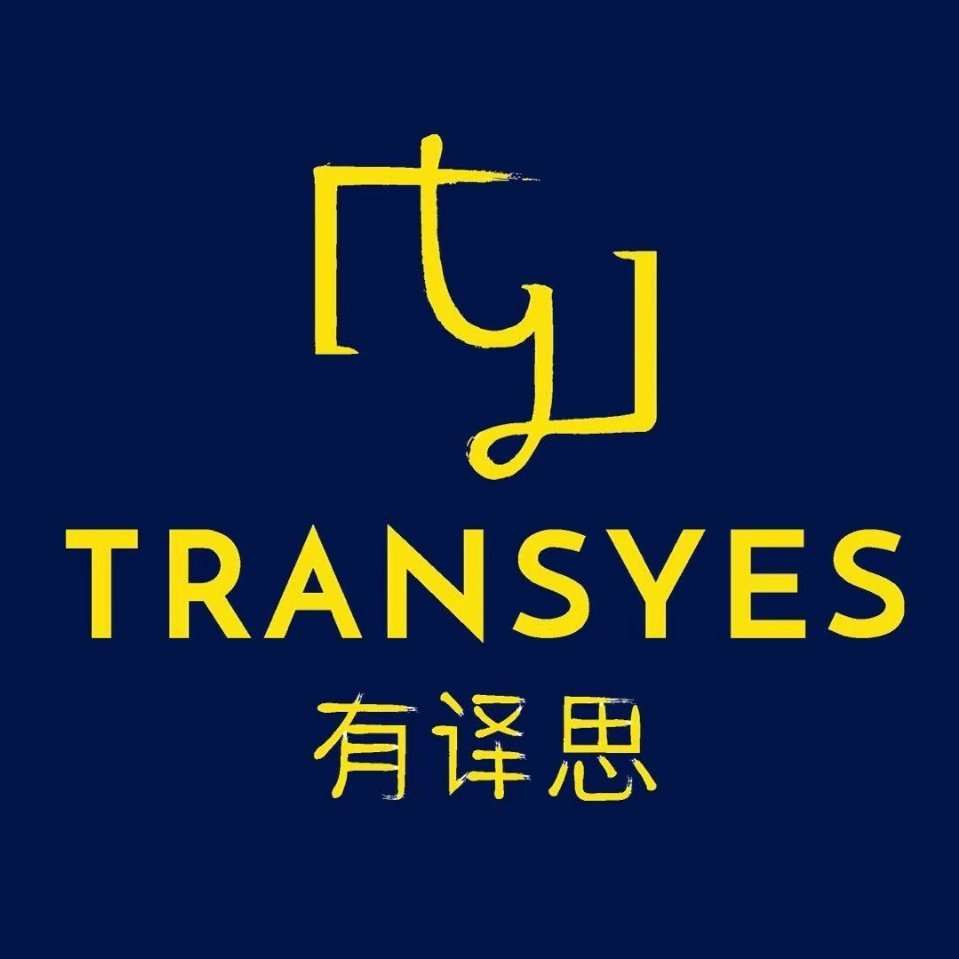 transyes logo