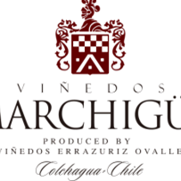 Vinedos Marchigue logo