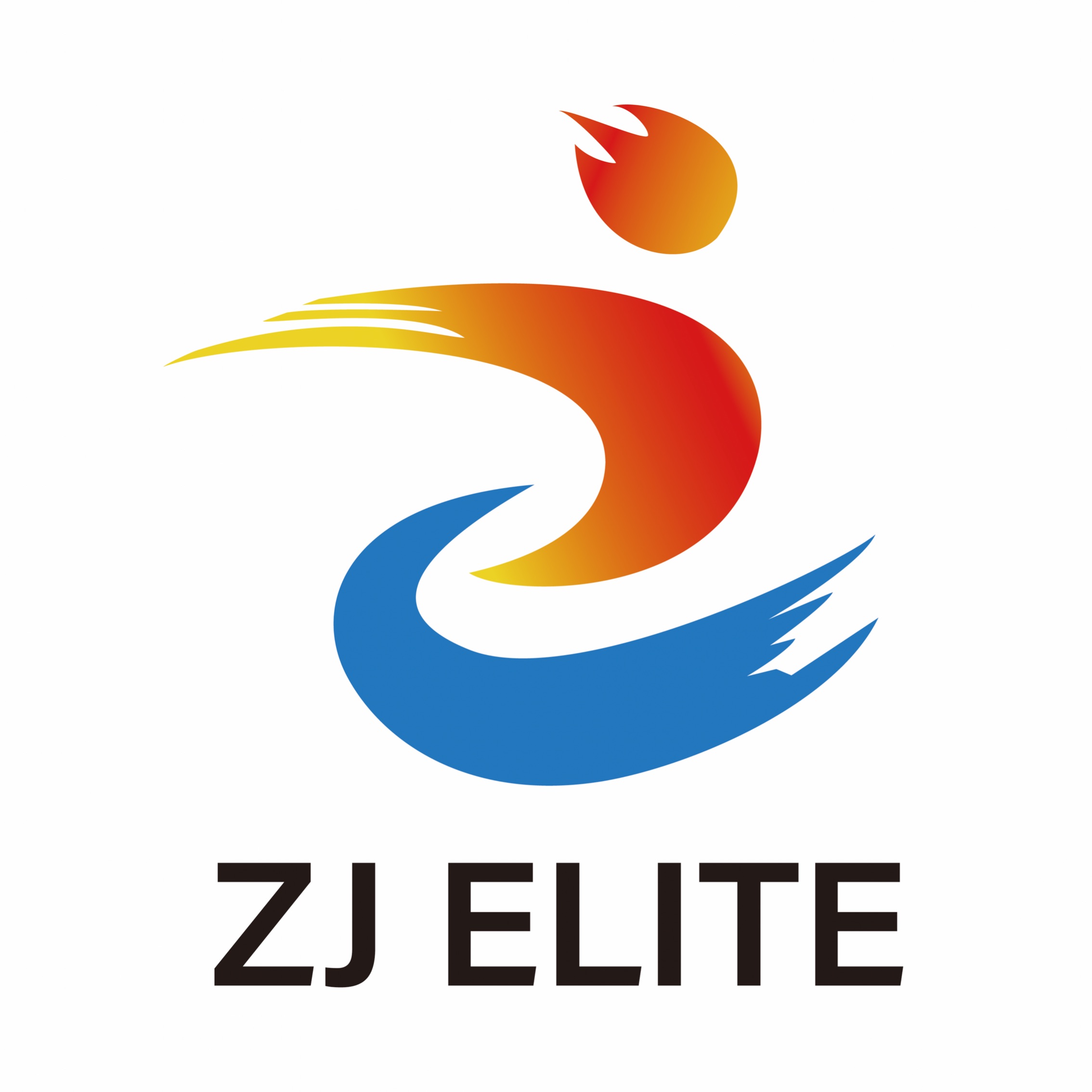 Hangzhou Zij Elite  Education Technologies and Consulting Co., Ltd logo