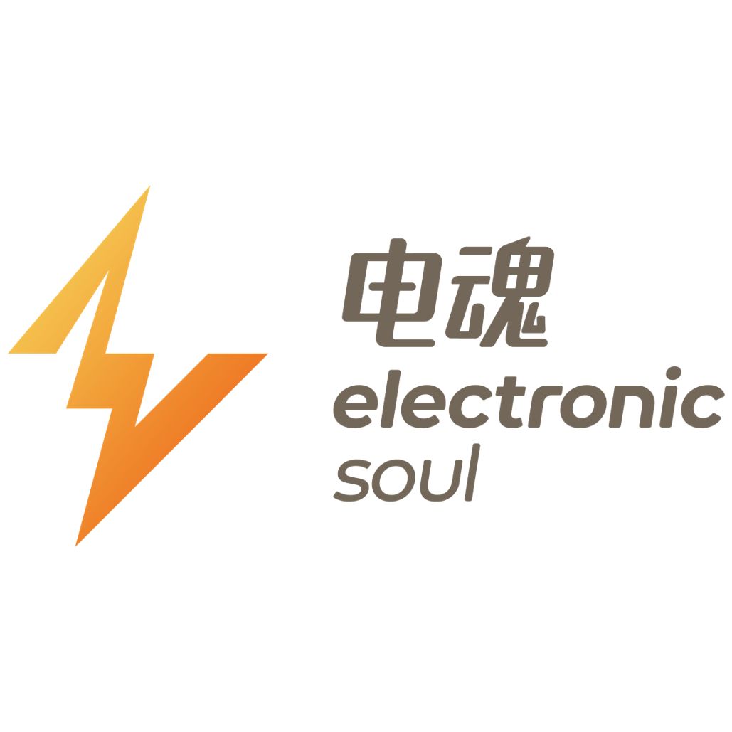Hangzhou Electronic Soul Network Technology Co.,Ltd Logo